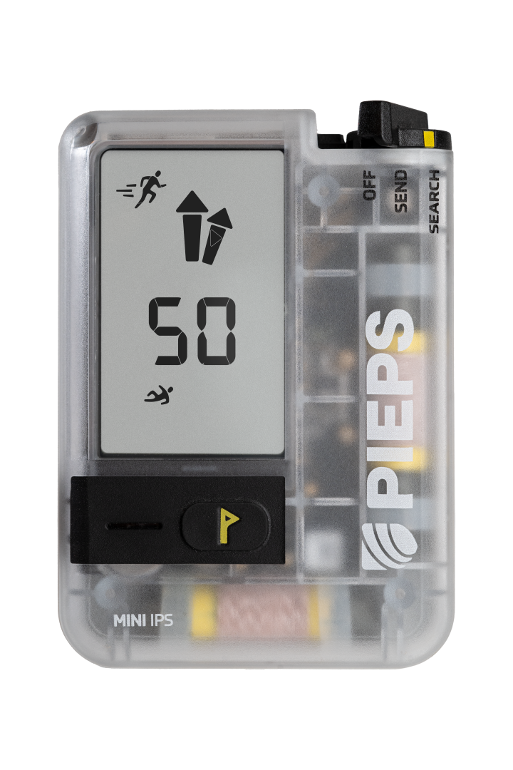 MINI IPS